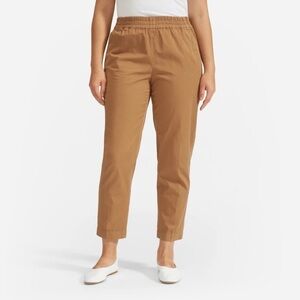 Everlane Easy Pants in Brown